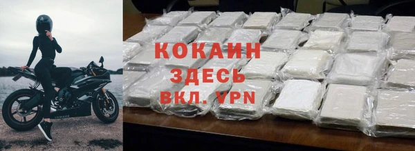 прущие крисы Бородино