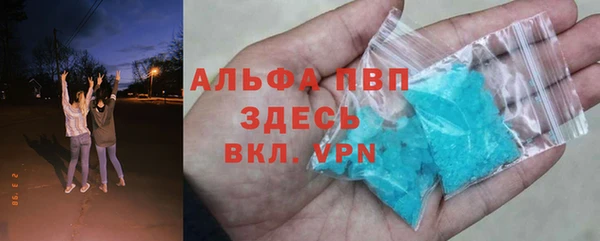 прущие крисы Бородино