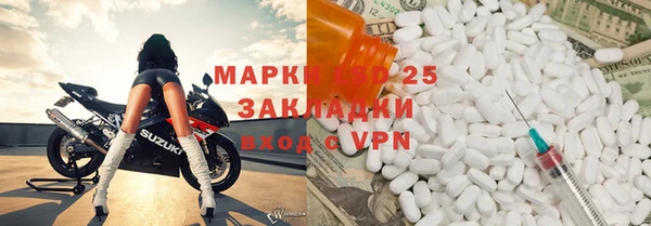 прущие крисы Бородино